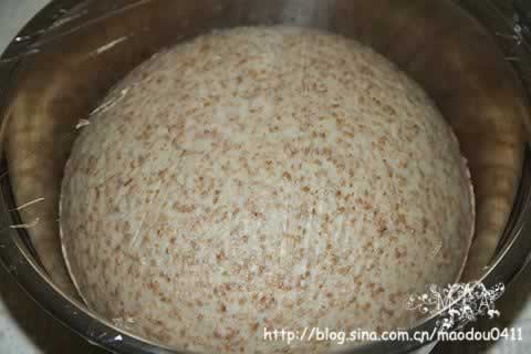 ������ѿ���������