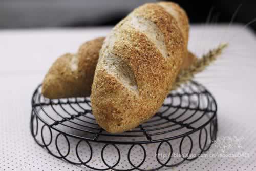 ������ѿ���������