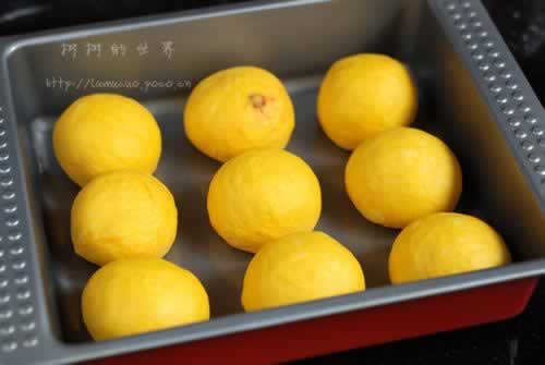 �Ϲ�������������