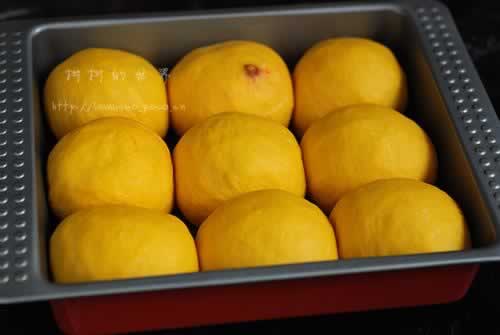 �Ϲ�������������