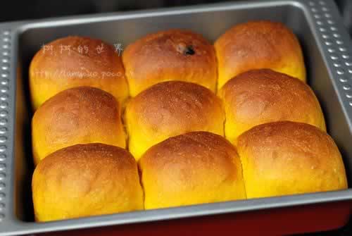 �Ϲ�������������