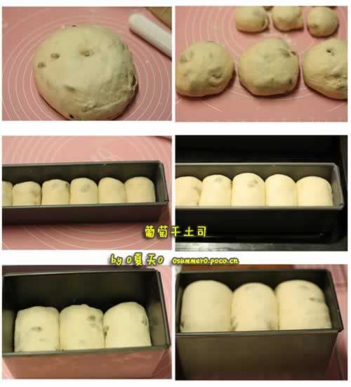 葡萄干多多土司的做法