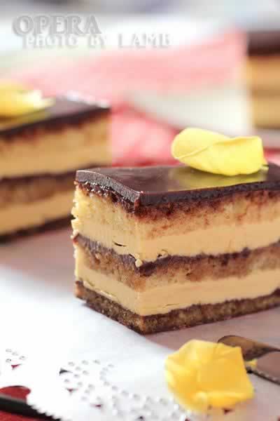 ���Ժ�������������Ʒ��