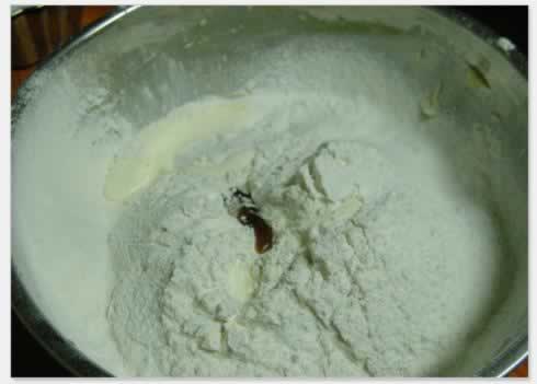 ����������ɵ�����