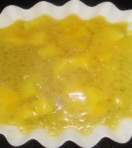 â��Ҭ������¶������