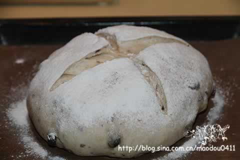 ������Ѹ��������������Ͳ���-���Ѷ��������԰�������