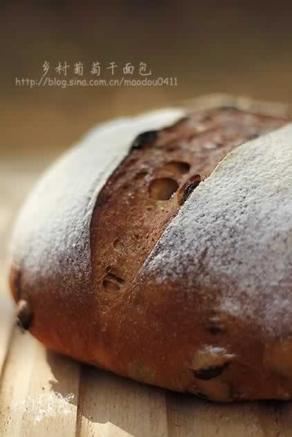 ������Ѹ��������������Ͳ���-���Ѷ��������԰�������