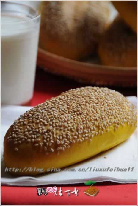 �Ϲ������׳���ɳ����������