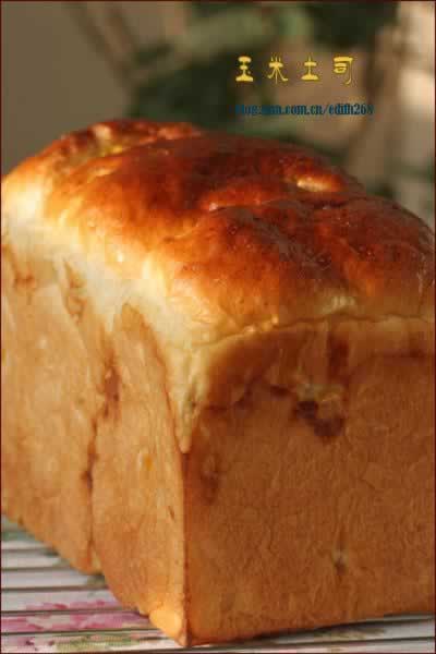 ������˾������