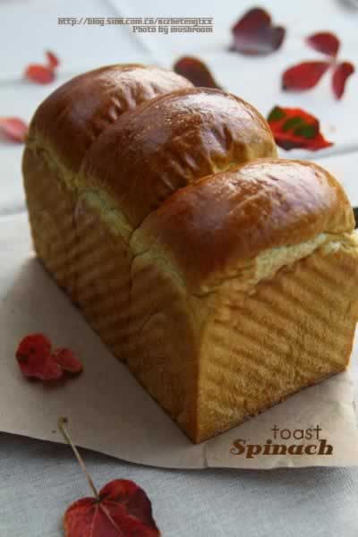 ������˾������