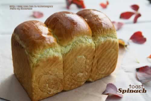 ������˾������