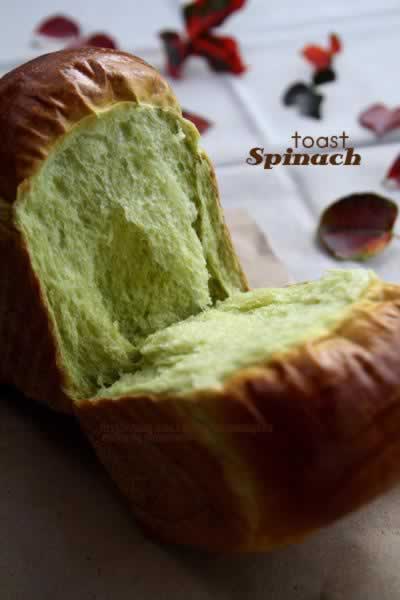 ������˾������