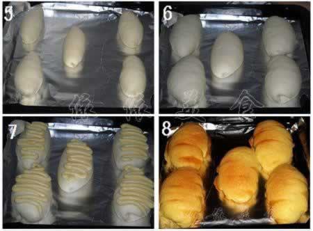 ������ī�������������