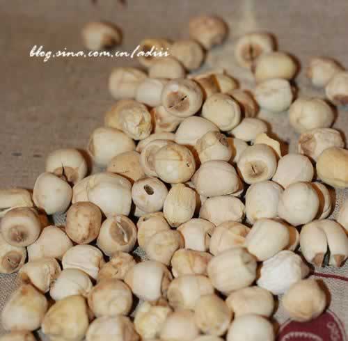 ��������������������ͥʳ��-��¥���мֱ��񰮺ȵ���������