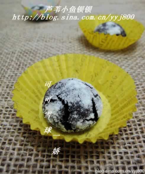 可可雪球的做法(甜品)