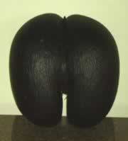 ����Ҭ����ѩ��ˮ����������ͥʳ��-������Σ�ֹ��ȥ�