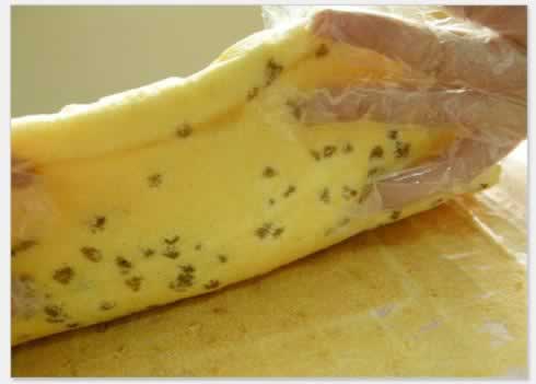 ���������������