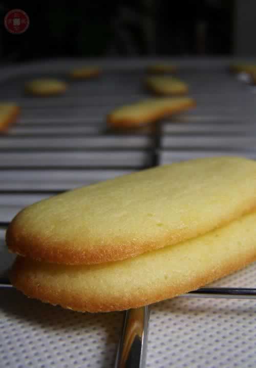 ���ױ��������������ζ���㣩