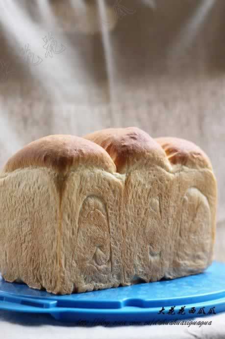 17H���׺춹��˾����������Ͳ��ף�