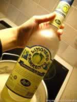 ��ʦ����ݮ������ͽ���ܽ����������ŷ������㣩