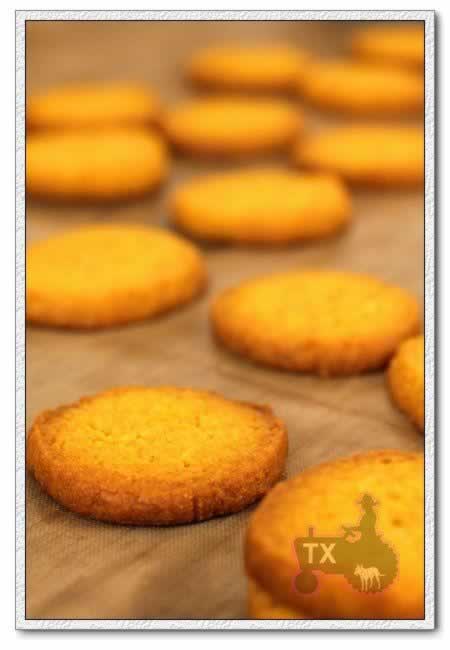 �����Ϲϱ��ɵ���������ʳ��