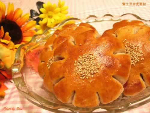 ��ɫ����ȫ���������������Ͳ��ף�