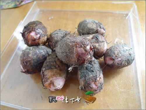 �����������������ѡ��ܵ���ϣ�