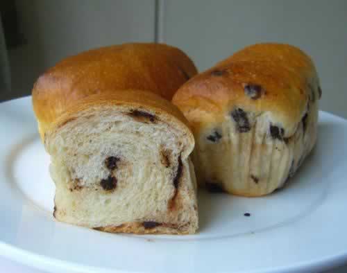 �ɿ�����С������������Ͳ��ף�