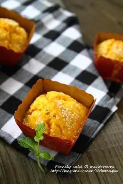 ��«����Ϻ�������������Ͳ��ף�