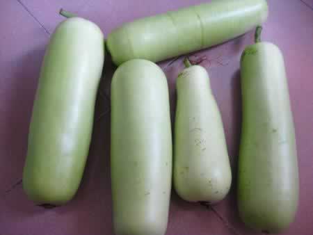 ��«����Ϻ�������������Ͳ��ף�