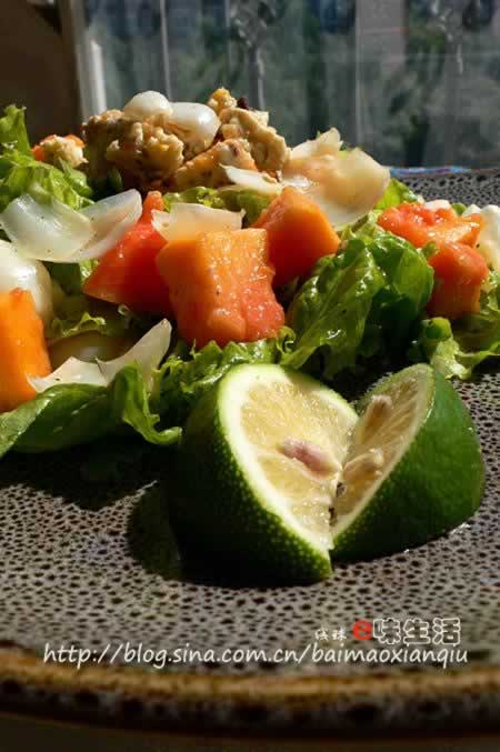 木瓜百合沙拉的做法(果香养生料理)