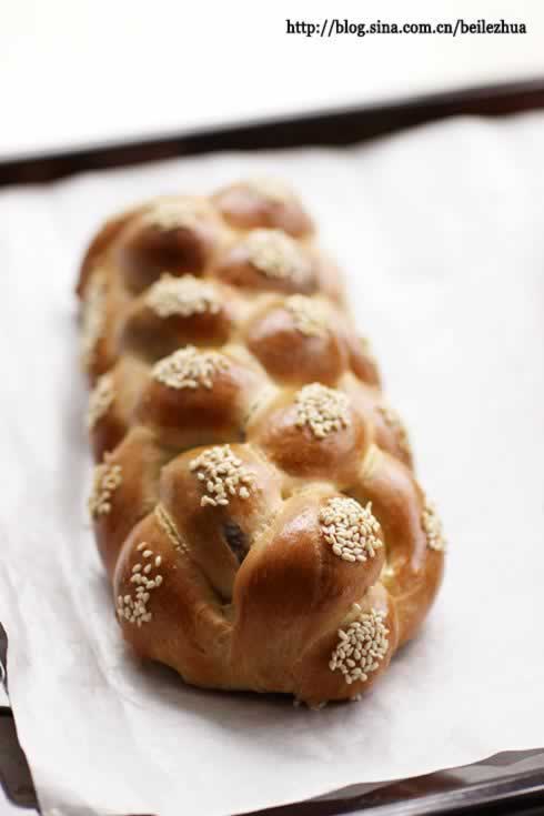 ��֥������������������Ͳ��ף�