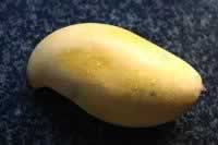 â��ţ����Ҭ֭�����������Ʒ��