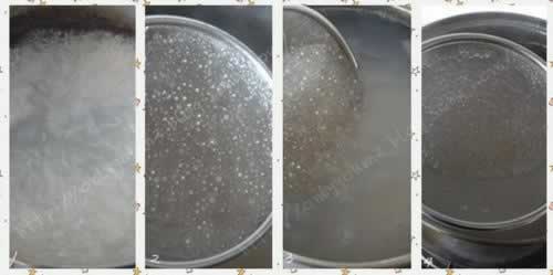 Ҭ��â������¶����������Ʒ���ף�