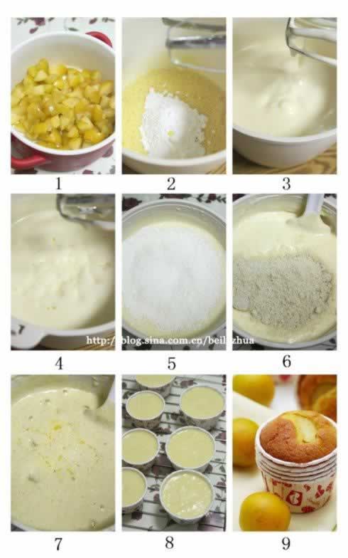 ��������ӵ������������Ͳ��ף�