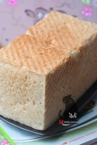 ȫ����˾����������Ͳ��ף�