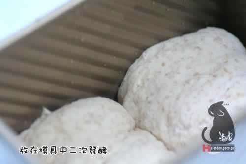 ȫ����˾����������Ͳ��ף�