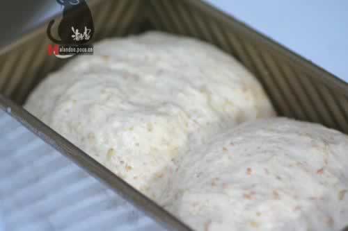 ȫ����˾����������Ͳ��ף�