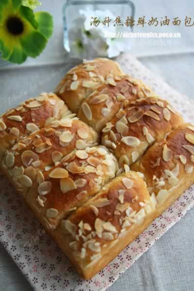 ���ֽ����������Ű�����������Ͳ���-���䱱����ţ����˾�ı�����