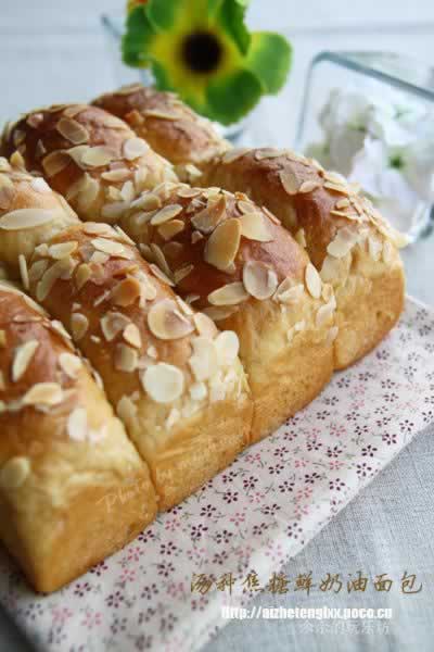 ���ֽ����������Ű�����������Ͳ���-���䱱����ţ����˾�ı�����