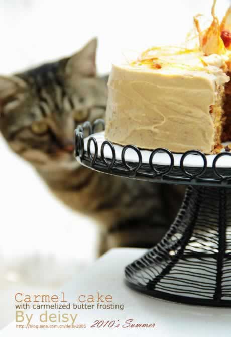 ���ǵ������������Ʒ-����൰���������