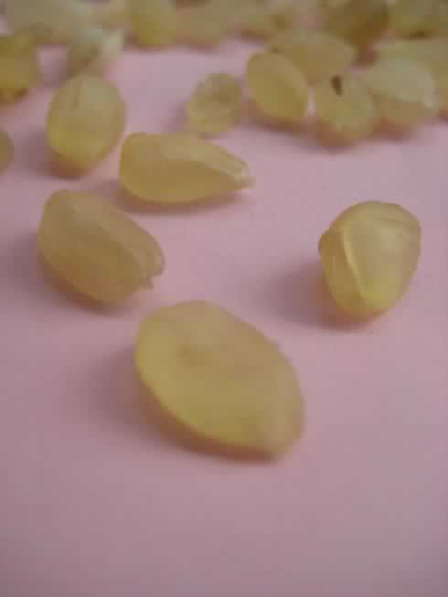 ѩ����������ˮ����������Ʒ-��������,�����Ŀ��