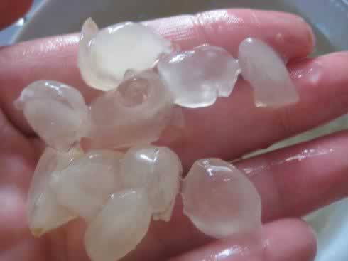 ѩ����������ˮ����������Ʒ-��������,�����Ŀ��