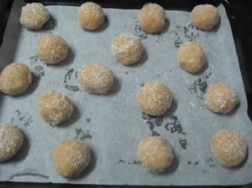 ������Ҭ�ر���������������ʳ��