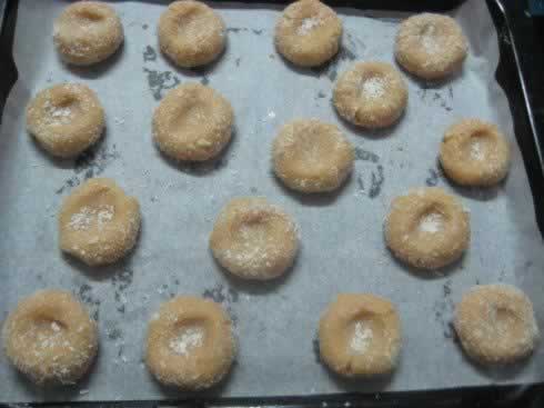 ������Ҭ�ر���������������ʳ��