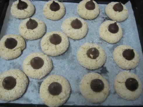 ������Ҭ�ر���������������ʳ��