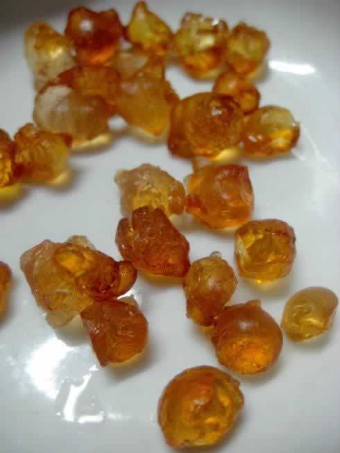 桃胶炖鲜莲的做法(甜汤-附杏汁桃胶的做法)