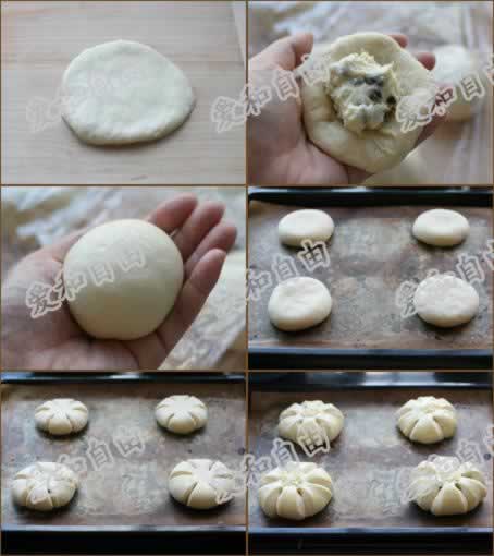 ֥ʿ�춹������������Ͳ��ף�