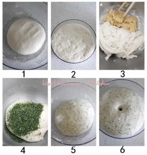 ��˾��̦�����������������Ͳ��ף�