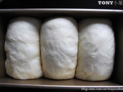 �Ϲ�������ݮ��˾����������Ͳ��ף�